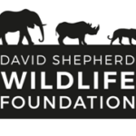 DSWF