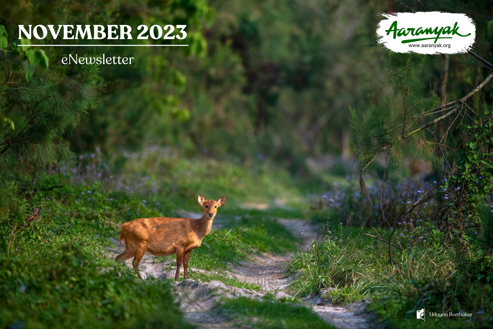 Aaranyak_November 2023_eNewsletter